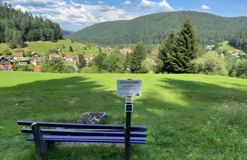 Schwarzwaldhaus Zwink - Photo 26