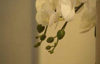 Apartamento Paula - Foto 3