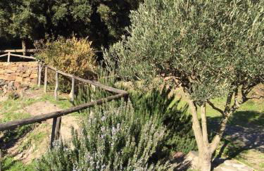 Sa Perda Lada - Foto 15