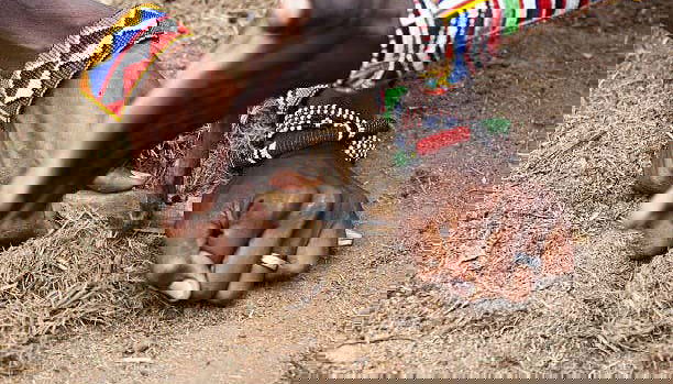 Safari privado por el Parque Nacional de Amboseli - Foto 4, Conoceremos las tradiciones de la aldea masái