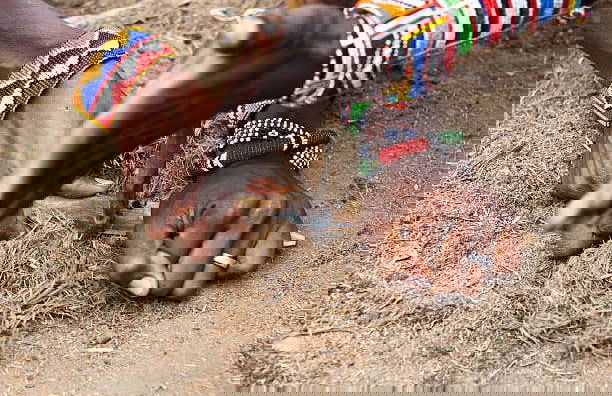 Safari privado por el Parque Nacional de Amboseli - Foto 4