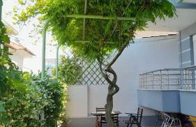 Petite Sirene Studios - Foto 64