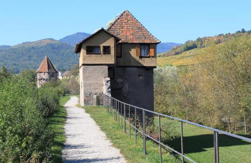 S'Harzala Rouge - Foto 22