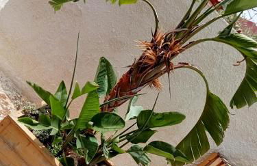 Dependance Sabrina - Foto 22