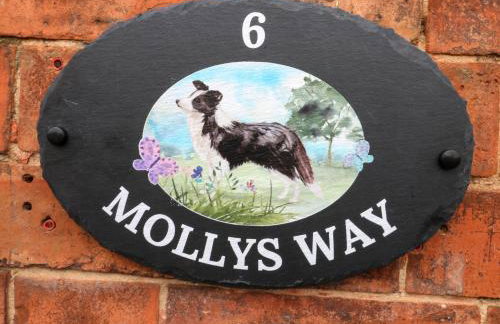 Molly's Way - Foto 40