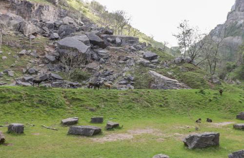 Lilac Cottage - Photo 29