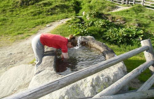 Almhaus Pfister OHG - Foto 71