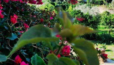 Artemis House - Foto 4