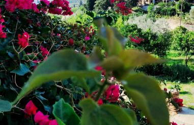 Artemis House - Photo 4