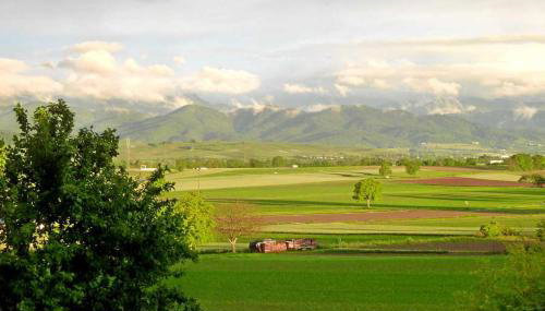 Ferienwohnung am Tuniberg - Foto 3