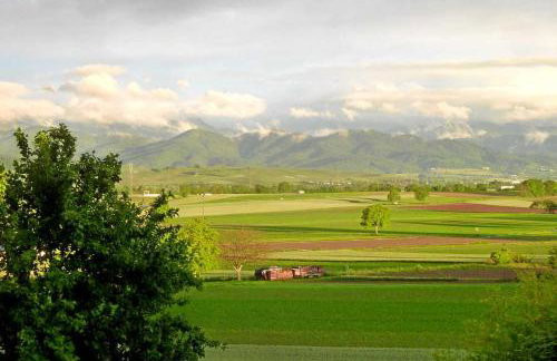 Ferienwohnung am Tuniberg - Foto 3