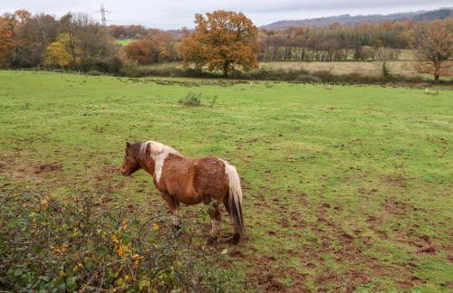 Fern Cottage - Foto 14