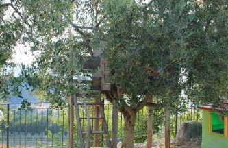 Il Castello Di Perchia - Photo 76