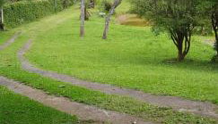 Bela Chácara - Foto 5