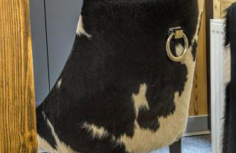 N°75- Na Uboczu - Foto 30