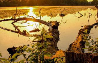 Ferienwohnung Auf der Blumenstrasse - Foto 30
