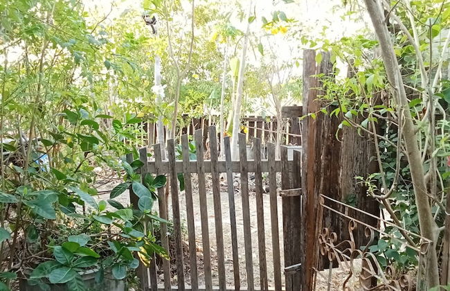 peaceland farmstay - Photo 50