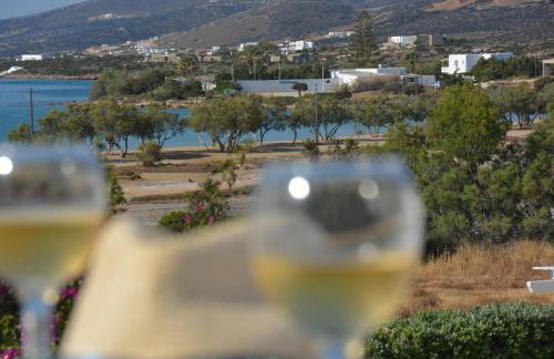 ThalaSEA - village Antiparos - Foto 66