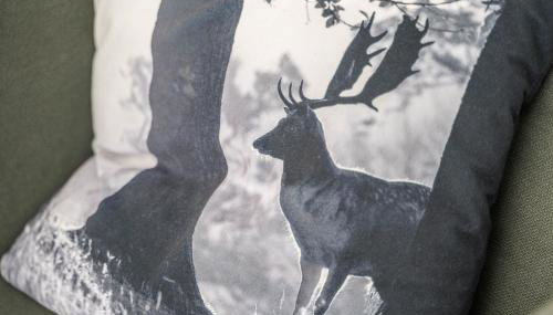 Ferienwohnung Hohfelsenblick - Foto 5