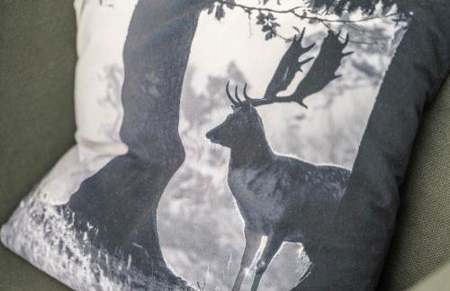 Ferienwohnung Hohfelsenblick - Foto 5