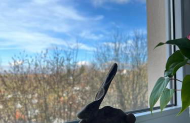 Fi-Eck Apartments - Foto 23