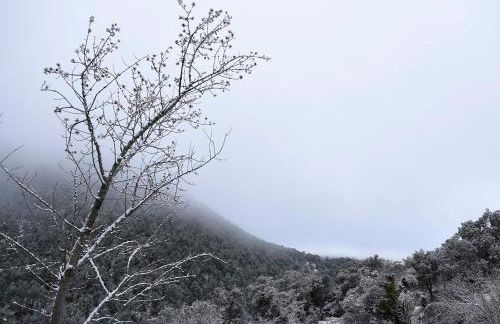 La Pegatera Masia rodeada de bosque ideal para desconectar - Photo 63