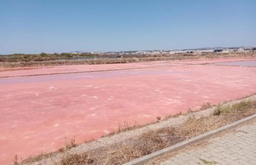 le Boucanier - Foto 59