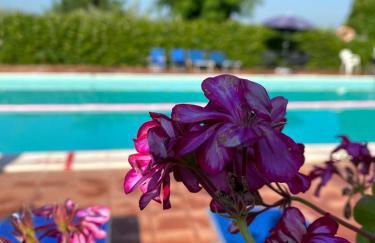 Cardinal Girolamo - Foto 23