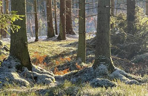 Żurawi klangor - dom z sauną i jacuzzi - Foto 38