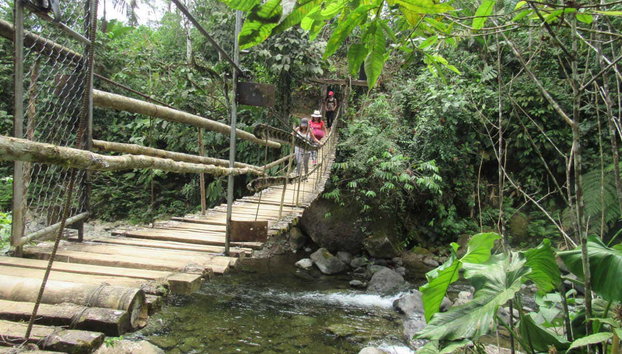 Santo Domingo de Los Tsachilas Day Trip - Photo 5, Hanging bridge in the Ecuadorian jungle