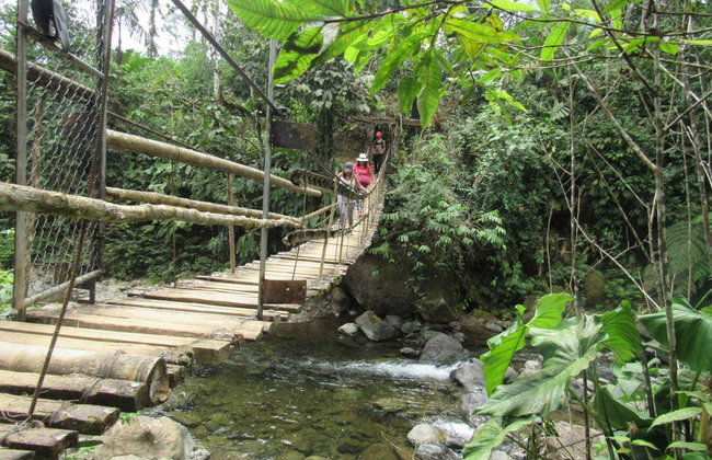 Santo Domingo de Los Tsachilas Day Trip - Photo 5