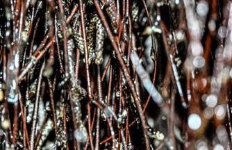 Domek w górach - Prywatne Jacuzzi, Sauna, Grota Solna - PANORAMA CHEŁM SKI&SPA - Foto 46