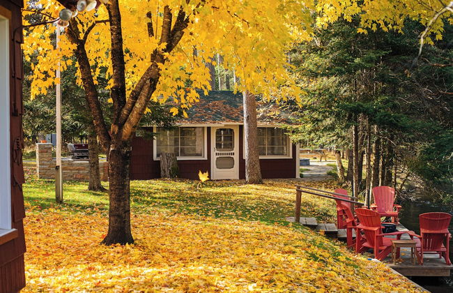 Grayling Gem Royal Stag Lodge - Foto 56