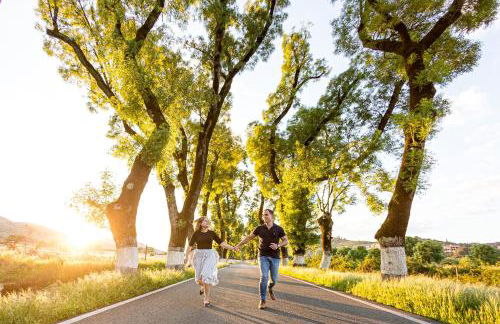 Casa do Pássaro - Foto 72