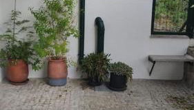 Casa Dionísio - Foto 5