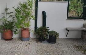 Casa Dionísio - Foto 5