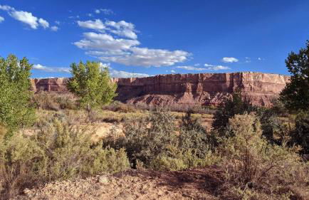 Basecamp Bluff - Bungalow with Patio, Dogs Welcome - Foto 18