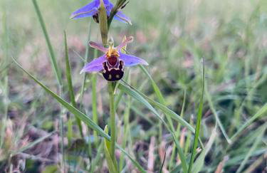 Magog View - Foto 18