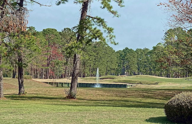 Windjammer Villas II - Photo 9