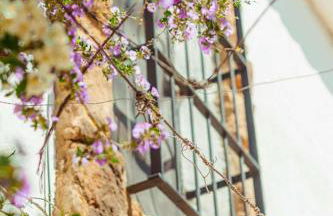 Finca el Vizconde - Naturaleza con tus hijos - Foto 46