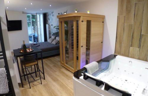 Appartement balnéothérapie et sauna hyper centre - Foto 13