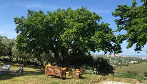 Agriturismo - Apis in tabula - Foto 4