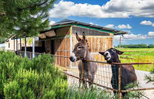 Relais Ca' Maddalena - Foto 80