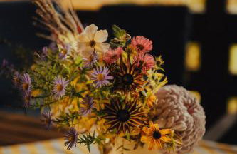 Łap Las Pelnik - Photo 14