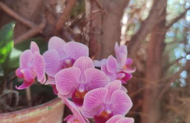 Villa Torres - Foto 22