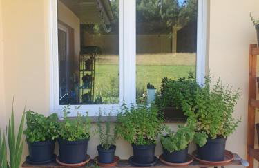 Kuniec Świata - Foto 12