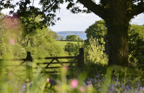 Sweet Pea Cottage, Amroth - Foto 47