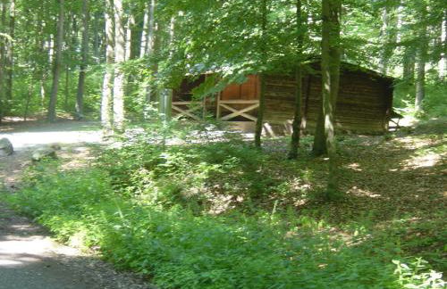 Haus am Wald - Foto 27