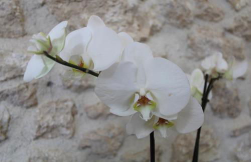 Casa San Giacomo - Foto 48