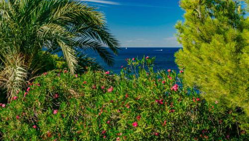 Holiday Home Verena by Interhome - Photo 3